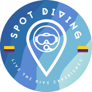Spot Diving