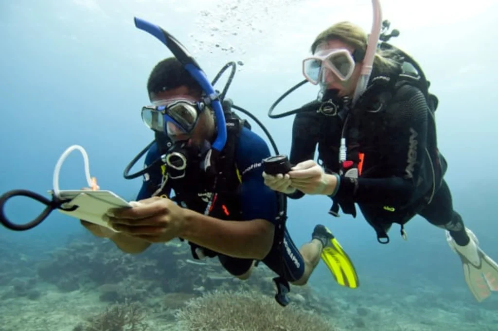 Diver in Cartagena using a compass to recover underwater orientation.