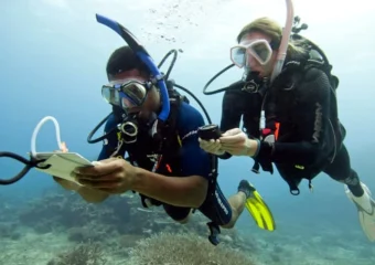 Diver in Cartagena using a compass to recover underwater orientation.