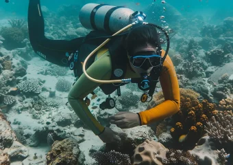 Equipo de buceo scuba profesional con regulador, BCD, ordenador de buceo, botella, traje, máscara, aletas e instrumentos de navegación.